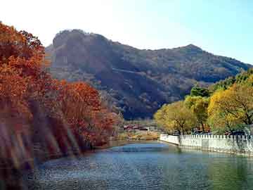 和邻居寡妇做爰2