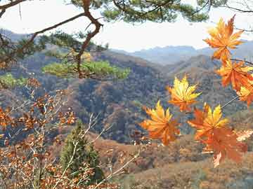 和邻居寡妇做爰2